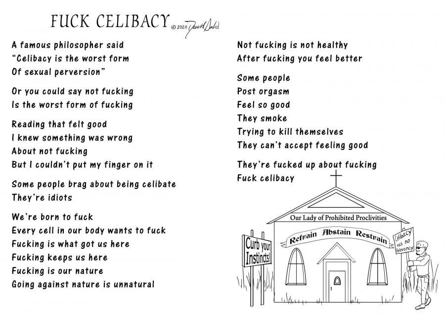 book, celibacy adult